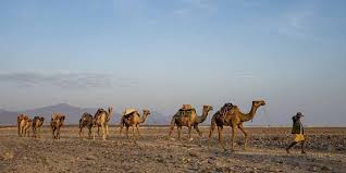 The wind made it colder than the rest of the city, but they took off their 5. Things To Know Before Your Danakil Depression Tour The Crowded Planet