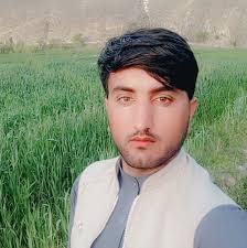 جنرال محمد کریم، چې په کریم بریتو/بروت سره ډېر پېژندل کېږي، د اعلیحضرت محمد  ظاهر شاه د پاچهۍ پر مهال د سپرو سرتیرو یو قوماندان ؤ. هغه د کابل په ده مزنگ