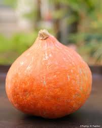 Epingle Sur Legumes