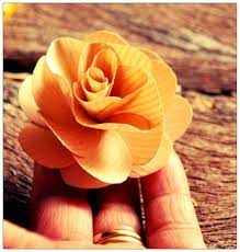 Check spelling or type a new query. Tutorial On How To Make Wooden Roses Using Birch Wood Shavings Reduce Reuse Recycle Replenish Restore Wood Roses Wooden Roses Wood Flowers