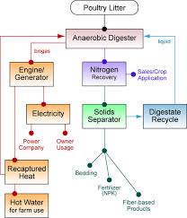 Poultry Processing Flow Chart Video Rental System Flowchart