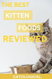 Dec 09, 2020 · the best wet foods for kittens. Best Kitten Food For Healthy Baby Cats Reviews Of Top Wet Dry Brands Kitten Food Best Kitten Food Best Cat Food