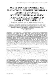 Image result for Ochna schweinfurthiana
