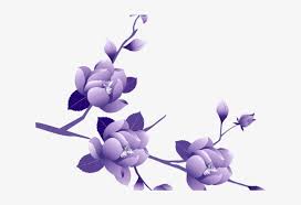 There is no psd format for tik tok logo png, tiktok images download in our system. Purple Rose Clipart Bunga Purple Floral Clipart Png Transparent Png 640x480 Free Download On Nicepng