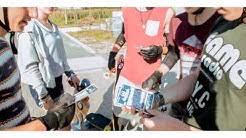 It takes place the first weekend of september on friday and saturday. Crammerock Tv Youtube