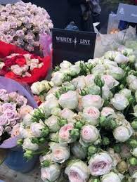 We are present at all flower auctions in holland (vba aalsmeer, flora holland naaldwijk and flora holland rijnsburg). 38 Holland Flowers Ideas Holland Flowers Flowers Holland