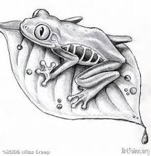 Image Result For Tree Drawings In Pencil Frog Frog Sketch Frog Drawing Frog Art