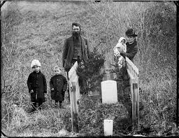 Image result for Harveya helenae