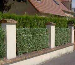 Haie De Sapin Clipsable De 1m Est Une Haie De Sapin Plus Vraie Que Nature En Plaques Clipsables Occultantes Facile A Jardins Amenagement Jardin Jardin Maison