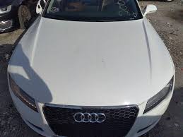 Image result for Ibis White 2014 AQ