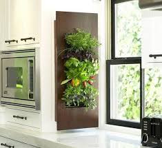 2,479 likes · 2 talking about this · 874 were here. Plantas Y Hierbas Ideales Para La Cocina Jardineria On