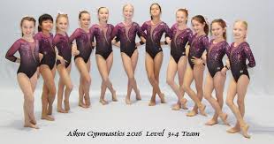 Aiken Gymnastics competes at state meet