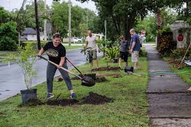 We did not find results for: Community Fruit Trees Improving Communities One Fruit Tree At A Time