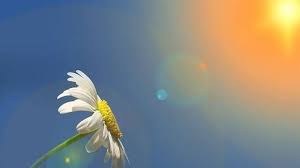 Kata-kata Bijak Selamat Pagi Penuh Makna, Kata-kata Semangat untuk Memulai  Beraktivitas - Tribunjabar.id