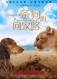 As a puppy, bella finds her way into the arms of lucas, a young man who gives her a good home. A Dog S Way Home New Film Poster From China Https Teaser Trailer Com Movie A Dogs Way Home Adogswayhome Adogswayhomem Dog Movies Funny Dog Videos Dogs