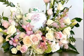 Image result for Chamaeangis