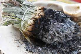 You will often find sage bundled with other. 5 Smoke Free Alternatives To Smudging