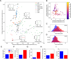 Pet feeding trough about product The Homeostatic Dynamics Of Feeding Behaviour Identify Novel Mechanisms Of Anorectic Agents