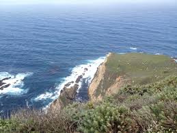 While surfers often flock to the waters of the park's big sur rivermouth. Andrew Molera State Park Parks People