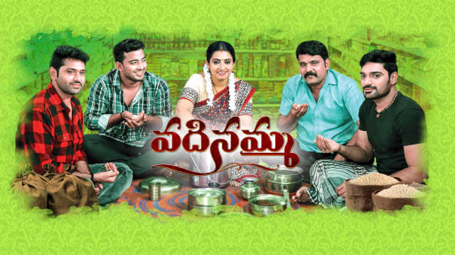 Image result for vadinamma serial"
