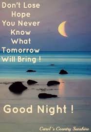 Goodnight Hope Good Night Meme Good Night Quotes Good Night Messages