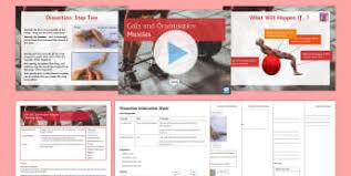 Check spelling or type a new query. Animal And Plant Cells Ks3 Cells And Organisation Beyond