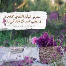 الاماني Beautiful Morning Messages Arabic Quotes My Images
