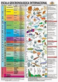 las grandes extinciones masivas de la historia geologica - Buscar con  Google | Ciencias de la tierra, Historia de la tierra, Geología