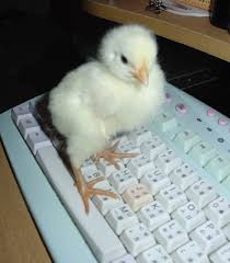 Maybe you would like to learn more about one of these? Hunt And Peck Typing By Funnylove On Deviantart