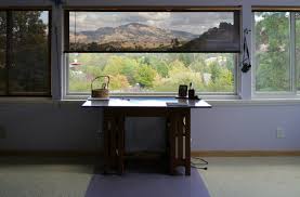 Solar shades vs roller shades: Transparent Mylar Film Solar Shades Photo Cits 4 Pets Photos At Pbase Com