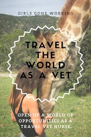 Become A Travel Veterinary Nurse In 2020 Work Abroad Jobs In Thailand Nurse
