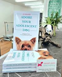 Little Wolves Grooming Spa