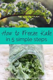 Here S The Greatest Way To Quickly Freeze Kale Creative Vegetable Gardener Freezing Kale Freezing Vegetables Garden Recipes