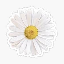 Maybe you would like to learn more about one of these? Glow Products Glow In The Dark 10 Luminous Self Adhesive Smiling Daisies Sun Flowers Stickers Toys Hobbies