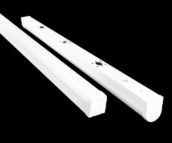 Image result for Berula