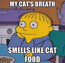 Twenty Of Ralph Wiggum S Greatest Quotes Ralph Wiggum Ralph Wiggum Quotes Simpsons Funny