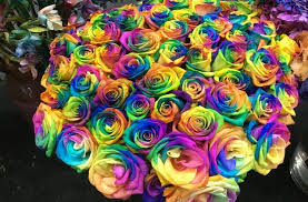 Pernikahan tidak akan lengkap tanpa bunga dan sebotol anggur yang bagus. Karakter Tersembunyi Seseorang Dapat Dilihat Dari Warna Bunga Mawar Pelangi Gak Percaya Simak Ini