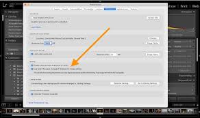 If you click on the dropdown and choose standard, lightroom will render the image that you see in loupe mode or the develop module. How To Make Lightroom Faster 13 Tips For 2021