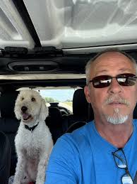 The Daily Dolly. The ongoing tale of our beautiful rescue Goldie HRH  Princess Dolly Lazar. "A little after dinner treat for us last night