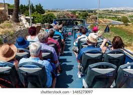 Image result for Bussea