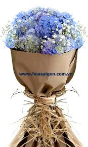 Kết quả hình ảnh cho cẩm tú cầu nhiều màu