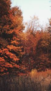 Cozy fall desktop wallpaper tumblr. 12 Cozy Autumn Aesthetic Desktop Wallpaper Basty Wallpaper