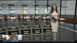 Sunny Skies and Mild Temperatures Forecast for the Weekend