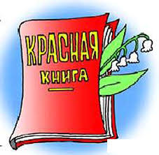 проект красная книга или возьмем под защиту как сделать Proekt Krasnaya Kniga Ili Vozmyom Pod Zashitu