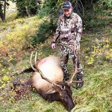 AJ Higley Elk_900x900