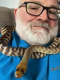Why do ball pythons get all the love?