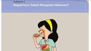 Maybe you would like to learn more about one of these? Kunci Jawaban Buku Tematik Sd Kelas 5 Tema 3 Makanan Sehat Subtema 1 Pembelajaran 1 Halaman 2 11 Halaman 3 Tribunnews Com Mobile