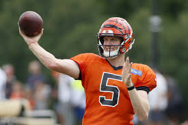 Ryan Finley Shows Promise In Bengals First Preseason Game Cincy Jungle Ryan finley is an american football quarterback for the cincinnati bengals of the national football league (nfl). bengals first preseason game