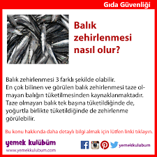 gida guvenligi balik zehirlenmesi nasil olur http yemekkulubum com icerik sayfa balik zehirlenmesi balik zehirlenme balikzehir balik saglikli yemek