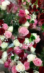 Thank you very much, martie. Roses Out For Valentines 2017 Beautiful Flowers Beautiful Roses Flowers